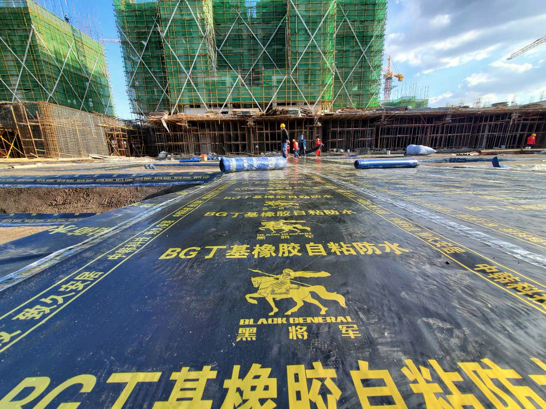 沈陽(yáng)孔雀城項(xiàng)目